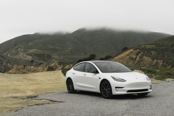 特斯拉Model 3 2021款 标准续航版